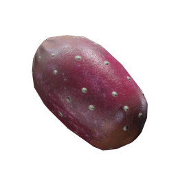 Figenkaktus