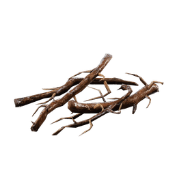 Kökler